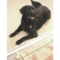 M-D Building Products 3-3/4 in. x 1-1/8 in. x 72 in. Silver Aluminum and Vinyl Heavy-Duty High-Profile Threshold -Deals Hillman Store aluminum m d building products thresholds 08078 31 1000