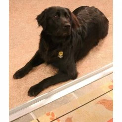 M-D Building Products 3-3/8 in. x 1-1/8 in. x 36 in. Silver Aluminum and Vinyl High-Profile Threshold -Deals Hillman Store aluminum m d building products thresholds 08409 31 1000