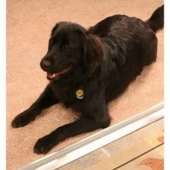 M-D Building Products 3 in. x 3/4 in. x 36 in. Silver Aluminum and Vinyl Economy Low-Profile Threshold -Deals Hillman Store aluminum m d building products thresholds 08748 31 1000