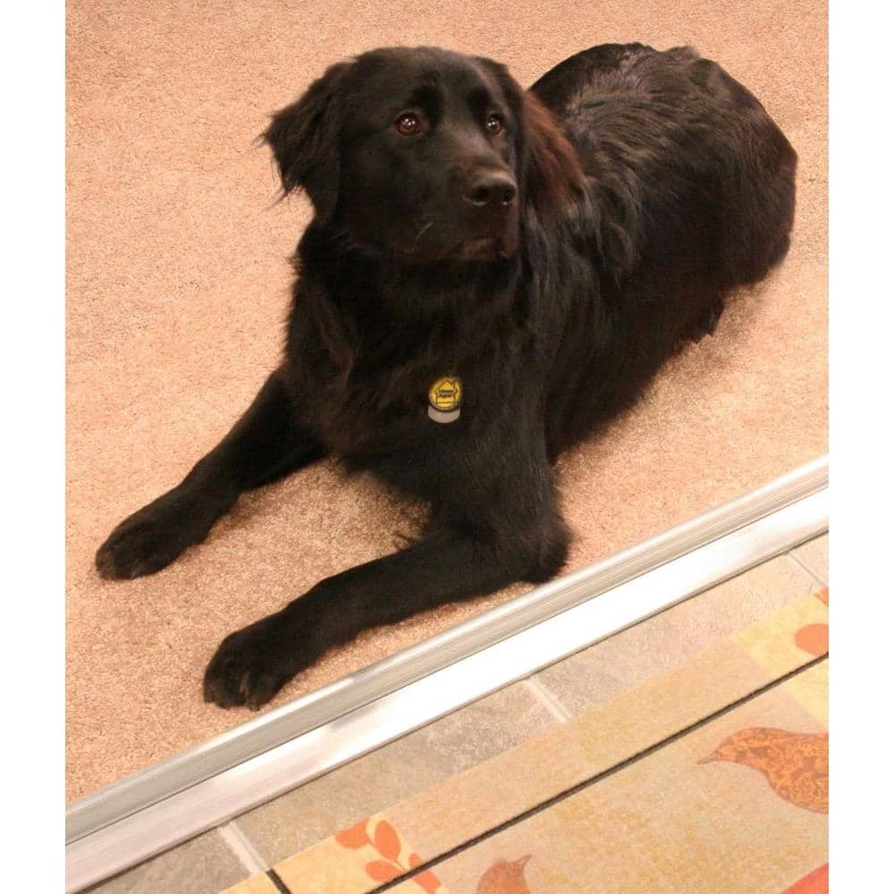 M-D Building Products 1-3/4 in. x 1/2 in. x 36 in. Silver Aluminum and Vinyl Mini Low-Profile Outswing Door Threshold 8 M-D Building Products 1-3/4 in. x 1/2 in. x 36 in. Silver Aluminum and Vinyl Mini Low-Profile Outswing Door Threshold - Image 6